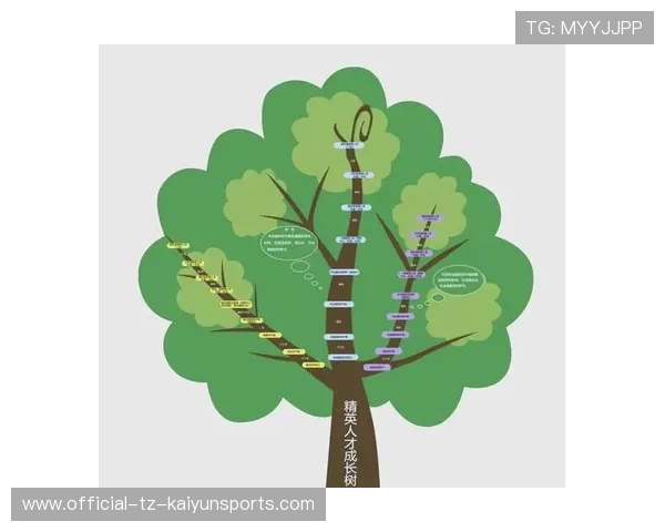 职业路径清晰新人快速成长